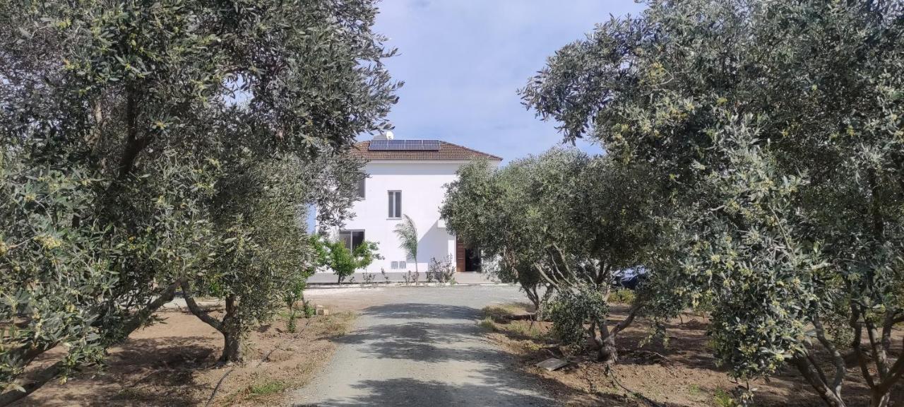 Kiti Village Villa, Cyprus, Salt-Water Pool, 6 Bedrooms, Larnaca Bagian luar foto