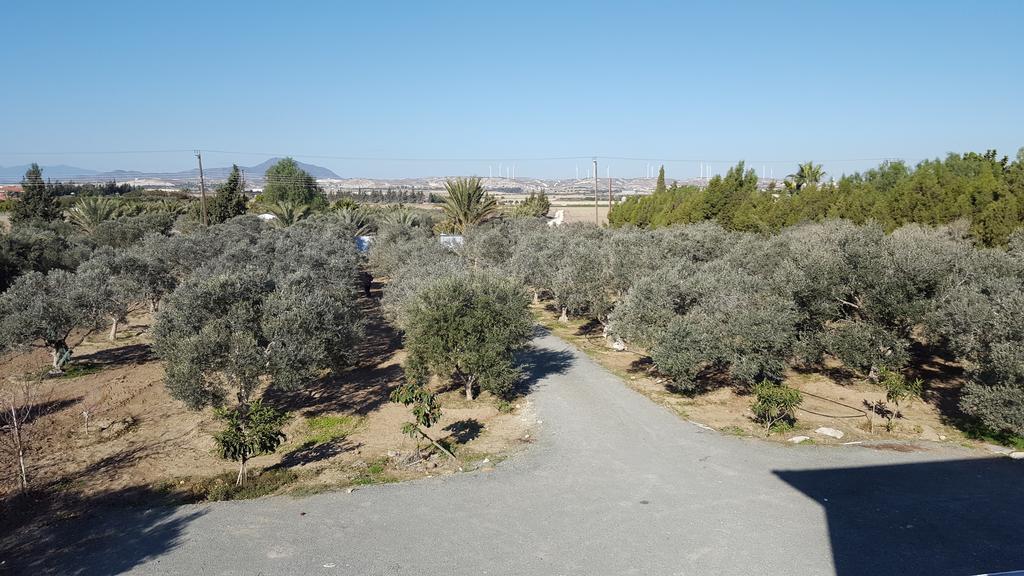 Kiti Village Villa, Cyprus, Salt-Water Pool, 6 Bedrooms, Larnaca Bagian luar foto